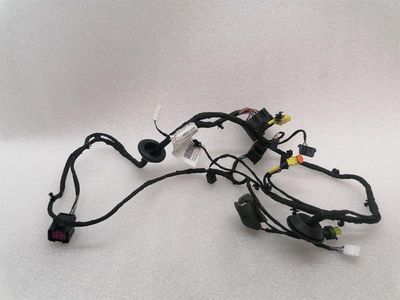 Ferrari Roma F169 Wiring Loom 963412 Harness RH DOOR RIGHT DOOR