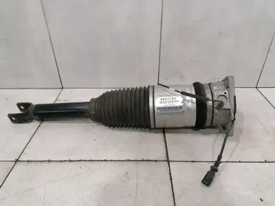 Bentley Continental GT Shock Absorber Rear 3W8616001B Rear Shock Absorber 11-18