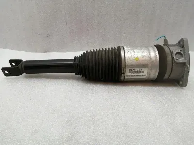 Bentley Continental GT V8S shock absorber rear 3W8616001F shock absorber rear