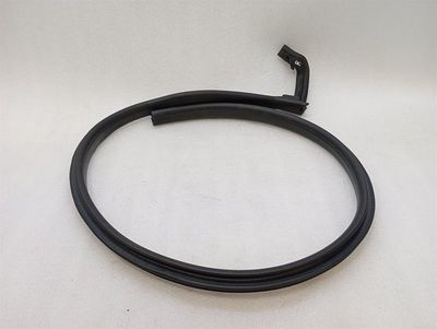 McLaren 720S Spider Door Seal 14AB122SP Door Seals RH DOOR SPIDER RIGHT