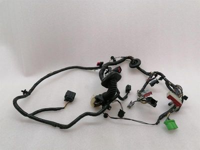 ASTON MARTIN VANTAGE V8 Wiring Loom 7G33-14631-AC Harness RH DOOR