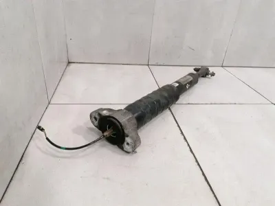 Maserati Quattroporte VI M156 absorber rear 670105403 shock absorber rear EDC