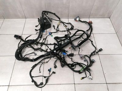 MASERATI QUATTROPORTE VI M156 Engine Bay Wiring Loom 670037924 Right Handlebar RHD