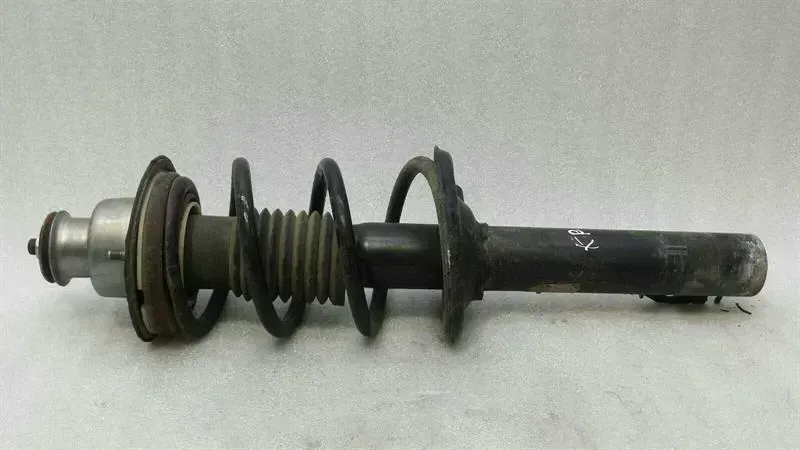 Porsche Boxster 987 shock absorber rear 98733305116 shock absorber rear right