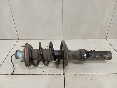 Porsche Cayman 981 Shock Absorber Rear 98133303519 Shock Absorber Rear PASM