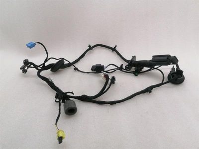 BENTLEY BENTAYGA 36A MK2 Wiring Loom FR DOOR Wiring Harness DOOR DOOR