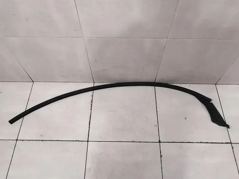 Tesla Model X P100D FRH Door Seal 1032146-00-C Front Right Door Seals