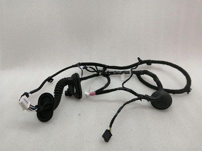 Tesla Model 3 Long Range RLH Door Wiring 2067965-00-B Rear L Door Harness