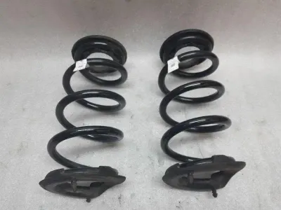 Tesla Model 3 Coil Spring Rear 1044472-01-E Suspension Spring Rear Set
