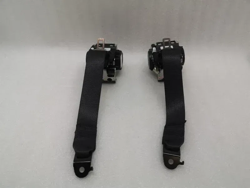 Tesla Model 3 rear seat belt set 1110154-C1-G seat belt belt rear set