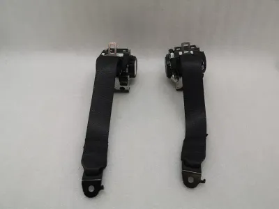 Tesla Model 3 rear seat belt set 1110154-C1-G seat belt belt rear set