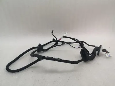 Tesla Model 3 Long Range RLH Door Wiring 2067965-00-B Rear L Door Harness