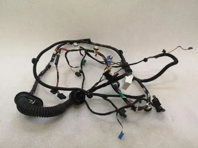 TESLA MODEL 3 STANDARD RANGE Wiring Loom 2067957-02-A Wiring Harness TUR FLH DOOR