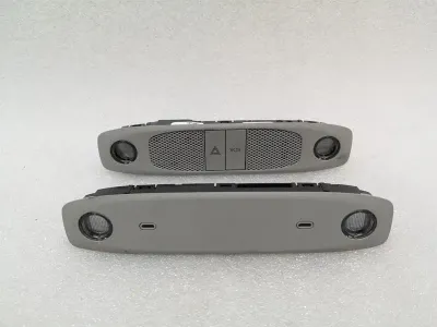 Tesla Model 3 Dome Light Set 1092572-99-C Interior Light Interior Light Set