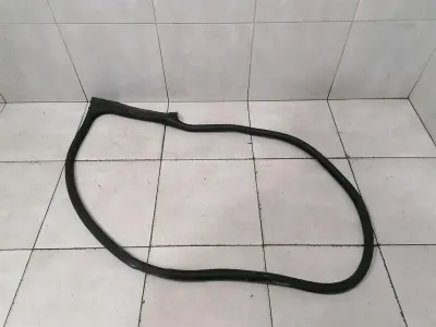 Porsche Taycan 9J Door Seal 9J1831721AL LEFT FRONT Door Seals