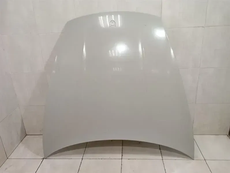 Porsche Taycan 9J Bonnet 9J1823031AYGRV Bonnet