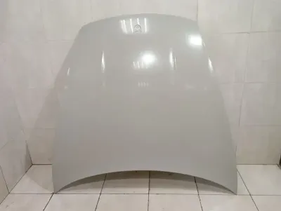 Porsche Taycan 9J Bonnet 9J1823031AYGRV Bonnet