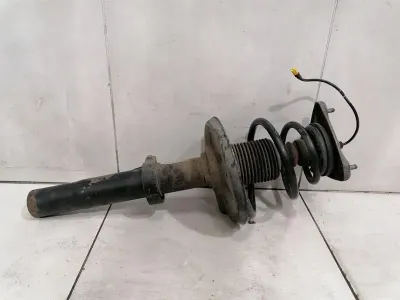 Porsche Cayman 987 Shock Absorber Front 98734304521 Shock Absorber Front RE ECS