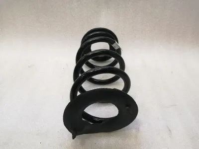 Tesla Model 3 Coil Spring Rear 1044472-01-E Rear Suspension Spring Spring