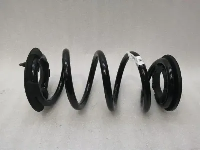 Tesla Model 3 Coil Spring Rear 1044472-01-E Rear Suspension Spring Spring