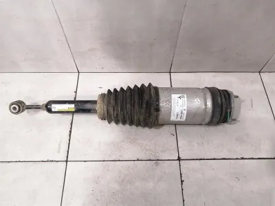 Tesla Model X 75D Shock Absorber Rear Right 1027461-00-G Shock Absorber Rear Right