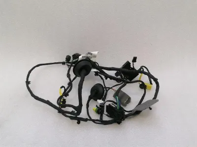 Ferrari Roma F169 Wiring Loom 963412 RH DOOR Wiring Harness