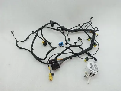 Ferrari GTC4 Lusso T 3.9 V8 F151M Wiring Loom 815270 RH DOOR Wiring Harness