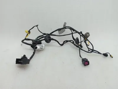 Ferrari Roma F169 Wiring Loom 963414 LH DOOR Wiring Harness