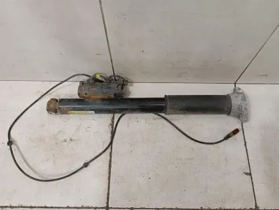 Mercedes W205 Coupe AMG Shock Absorber RLH A2053206402 Rear Shock Absorber -