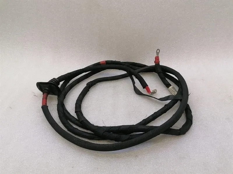 Ferrari 599 GTB F141 Wiring Loom 204716 Wiring Harness POSIVITE +-