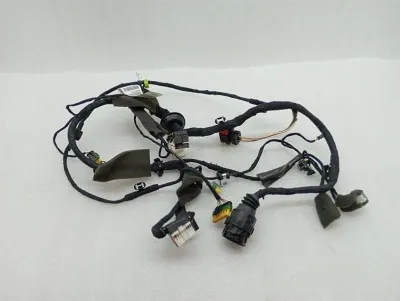 Ferrari 599 GTB F141 Wiring Loom 226231 LH DOOR Wiring Harness-