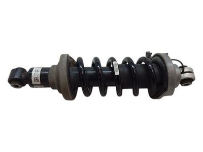 LAMBORGHINI HURACAN LP640 EVO Shock Absorber Rear 4T7512019D