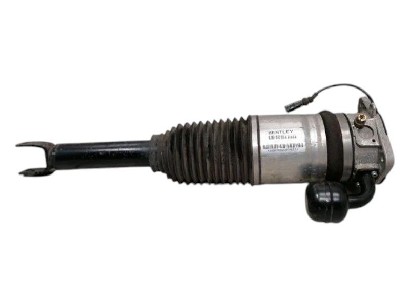 BENTLEY FLYING SPUR MK2 13-19 Shock Absorber RRH 4W0616002
