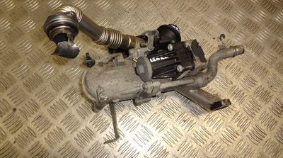 EGR cooler PEUGEOT 3008 I (T84) (2009-2016)