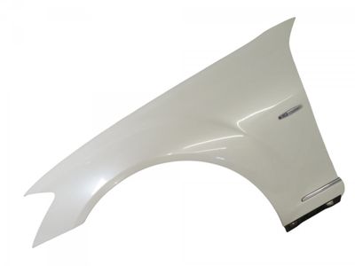 A2218800118 Fender Front Left MERCEDES-BENZ S-CLASS (W221) (2005-2013)