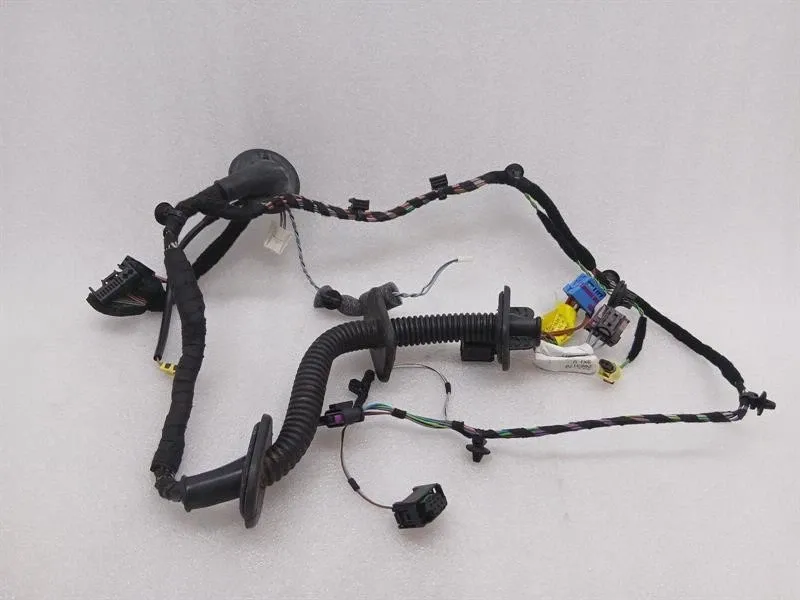 PORSCHE 911 991 GT3RS MK1 WIRING LOOM 99161260456 WIRING HARNESS RIGHT DOOR-