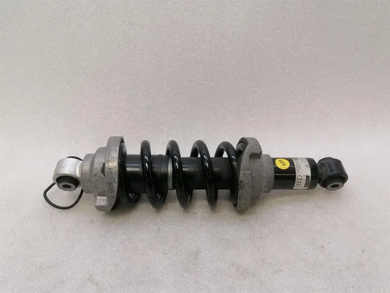 Lamborghini Huracan shock absorber rear 4T0512019S shock absorber rear