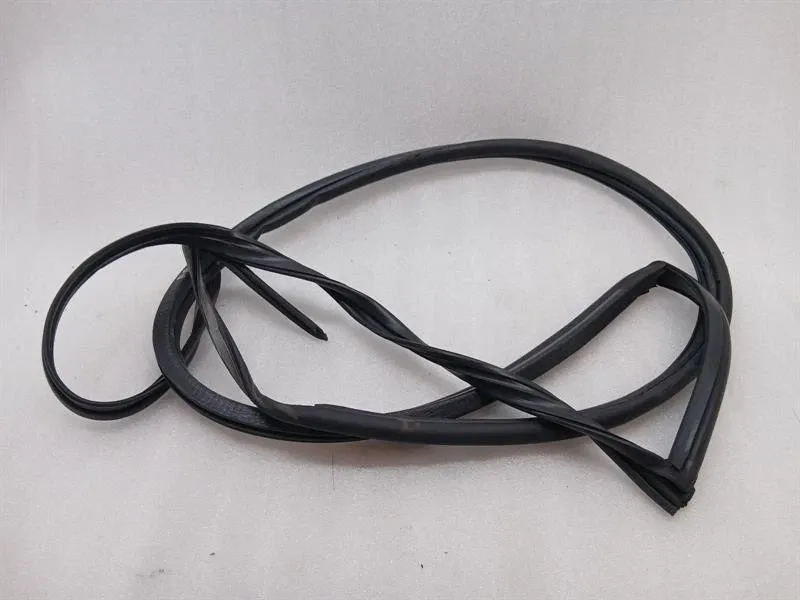 ASTON MARTIN DB9 COUPE Door Seal 4G43-F20708-AJ RIGHT Door Seals