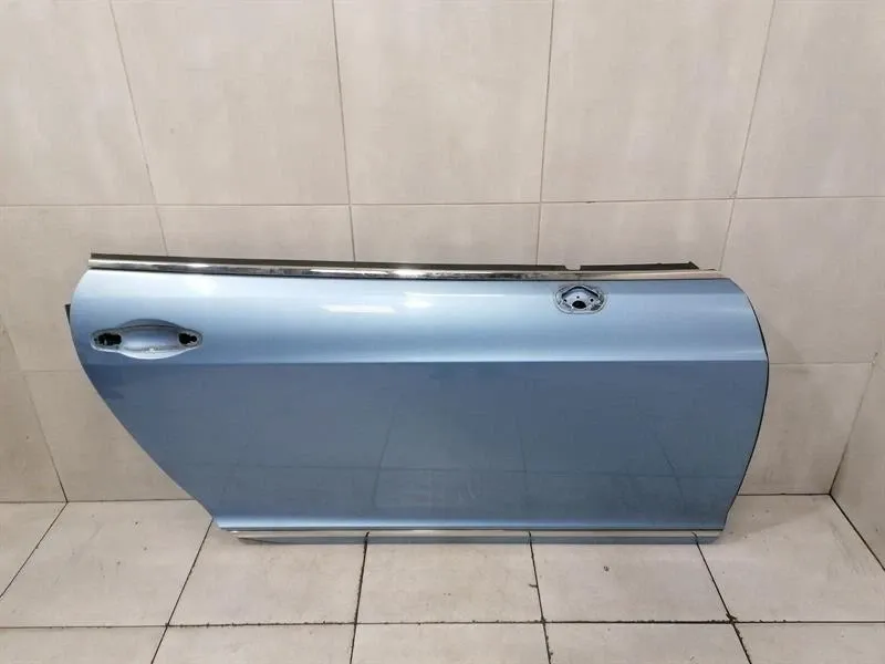Bentley Continental GT W12 right front door 3W8831056C door front right
