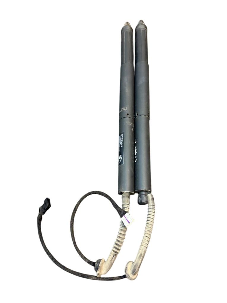 18202210 51247294470 51247294469 Bootlid / tailgate strut set BMW X5 (F15, F85) (2012-2018)