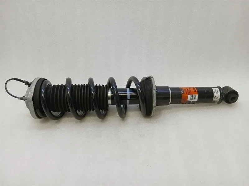 Chevrolet Corvette C8 shock absorber rear 84905756 shock absorber rear