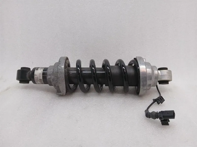 Lamborghini Huracan LP640 shock absorber rear 4T0512019AF shock absorber rear