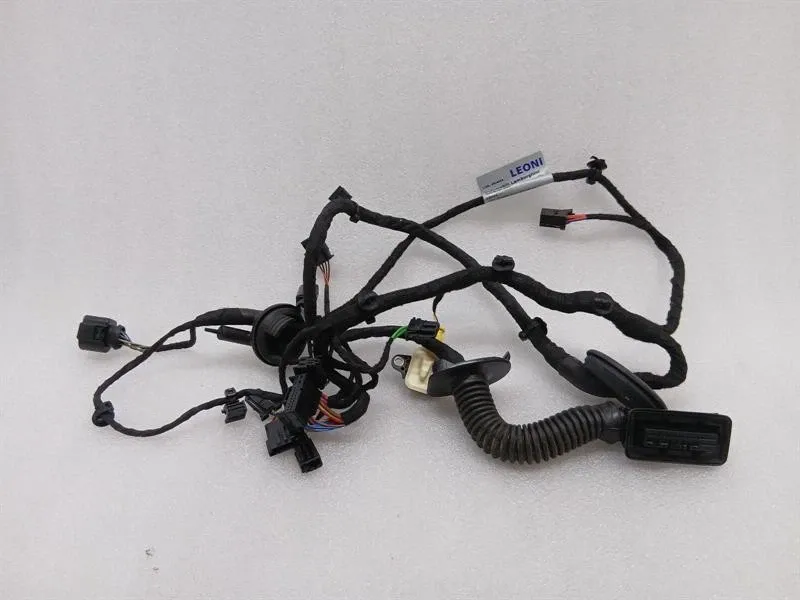 Lamborghini Huracan LP640 EVO Wiring Loom 4T1971029E Wiring Harness LEFT DOOR LHD