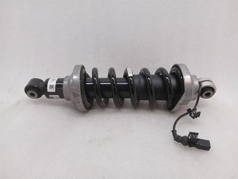 Lamborghini Huracan LP640 shock absorber rear 4T0512019AF shock absorber rear