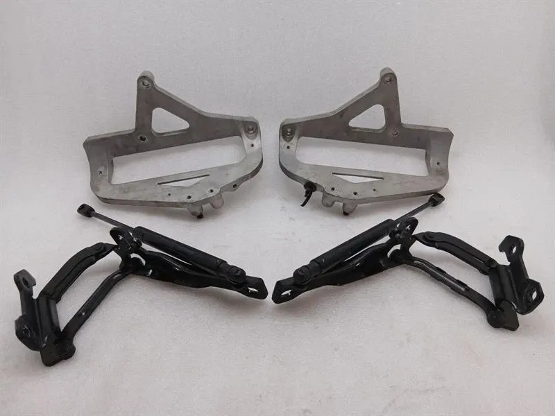 ASTON MARTIN VANQUISH AM310 Bonnet Hinge SET DD33-16801-AA Hood Hinge SET