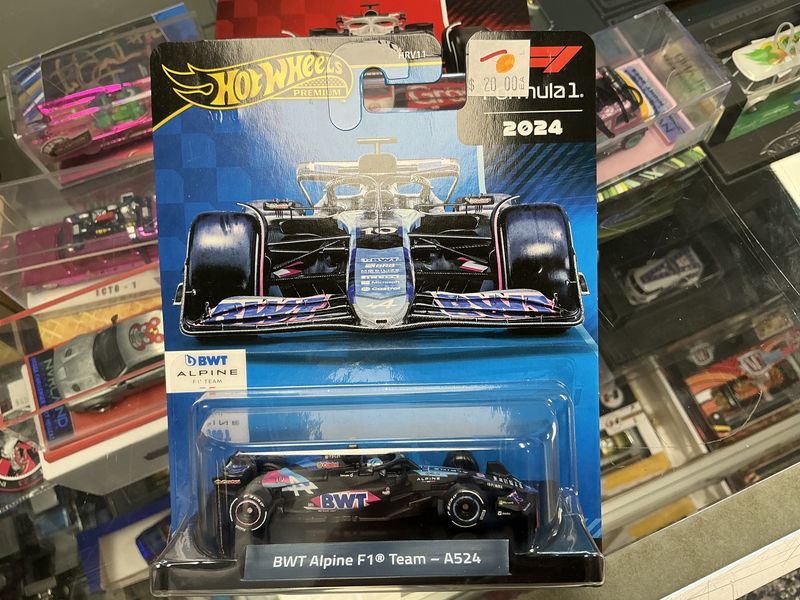 F1 alpine team