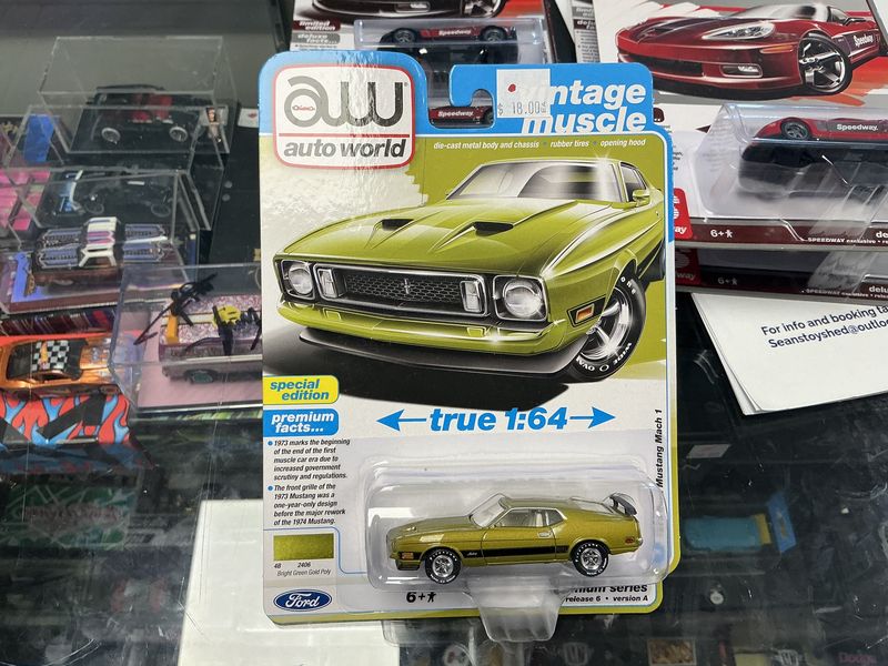 1973 ford mustang Mach 1