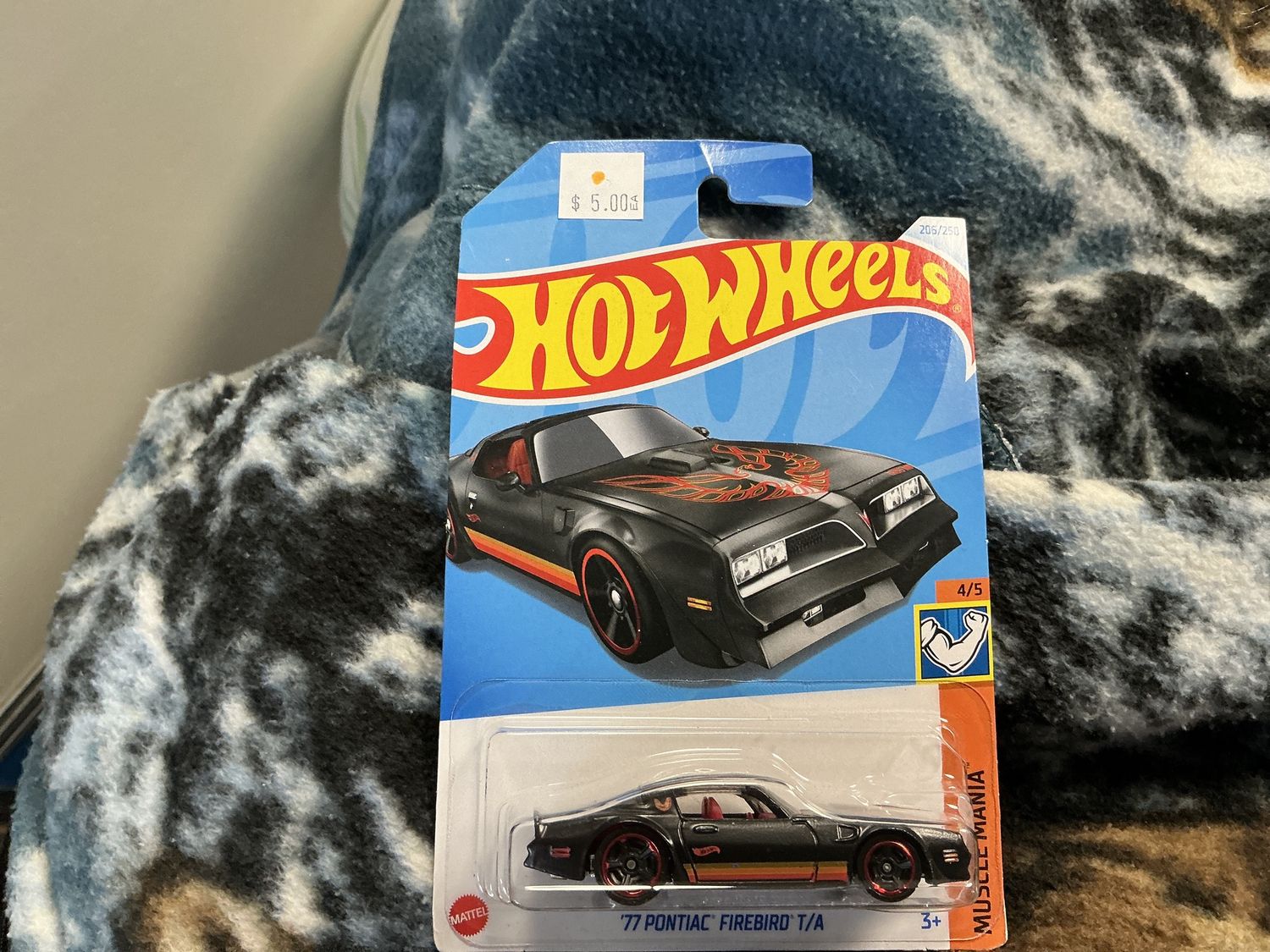 1977 Pontiac fire bird T/a