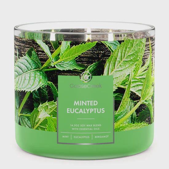 3 Wick Candle Eucalyptus &amp; Mint