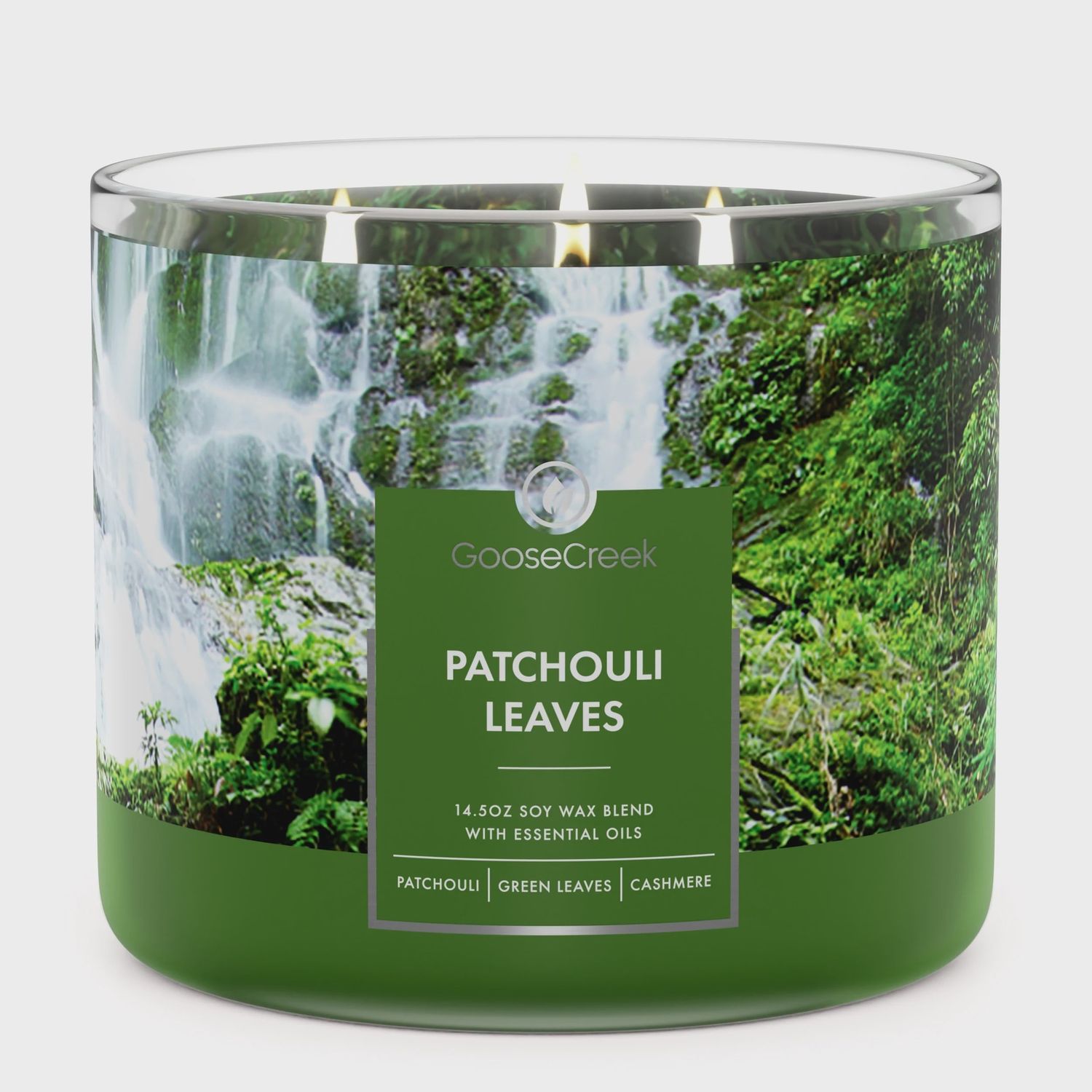 3 Wick Candle Patchouli Leaves